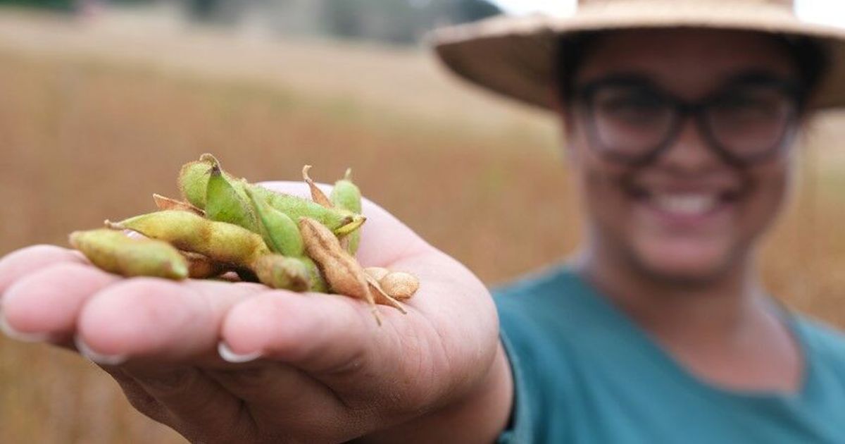 COFCO: Chinese soy trader's progress on traceability in Brazil is